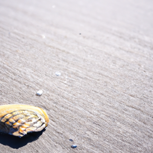 How Many Miles Of Beach Does Myrtle Beach Have?