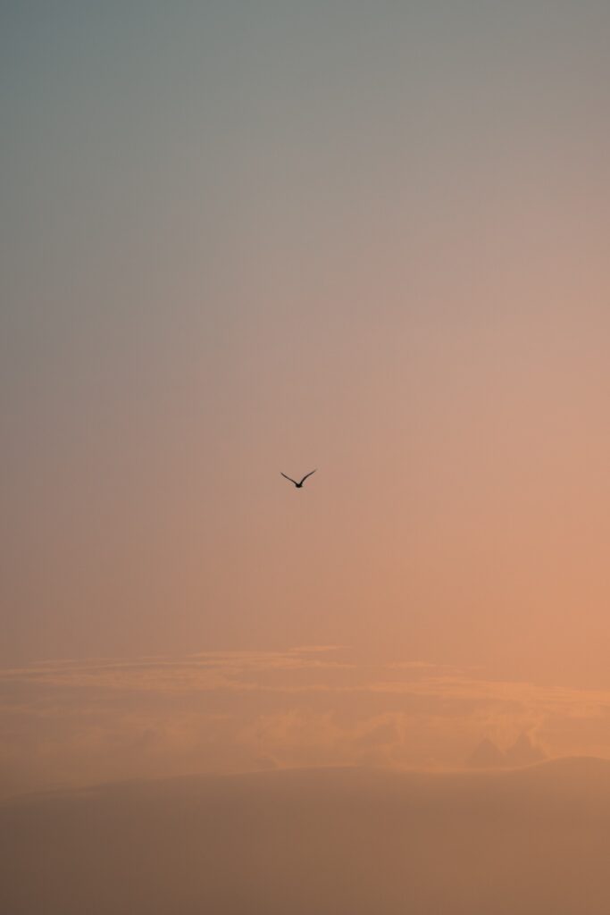 Which Is Better North Or South Myrtle Beach